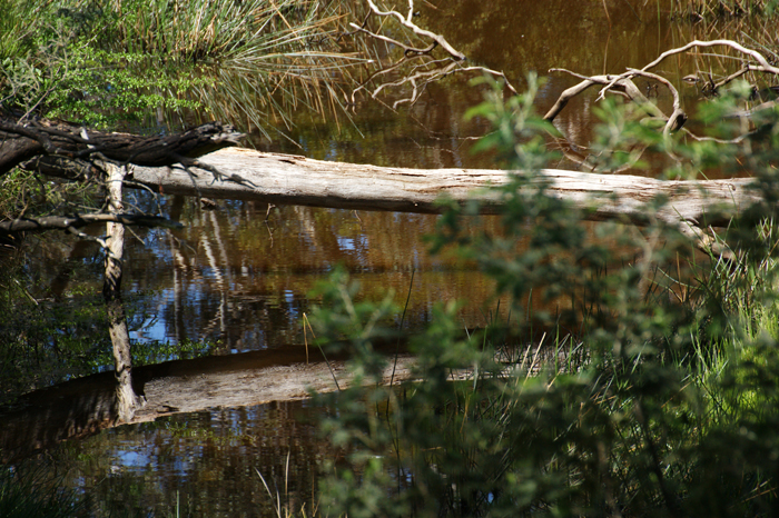 Australien: Die Farm 2014

