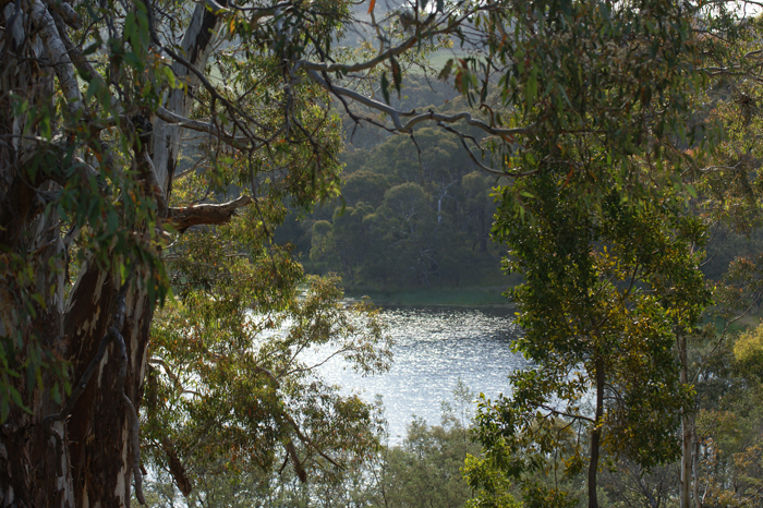 Australien: Die Farm 2014
