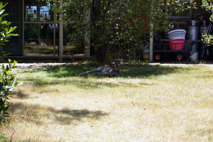 Australien: Die Farm 2014
