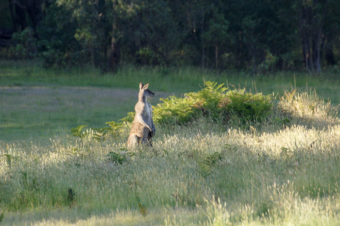 Australien: Die Farm 2014
