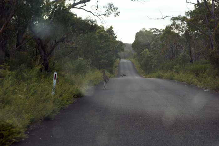 Australien: Grampians 2014