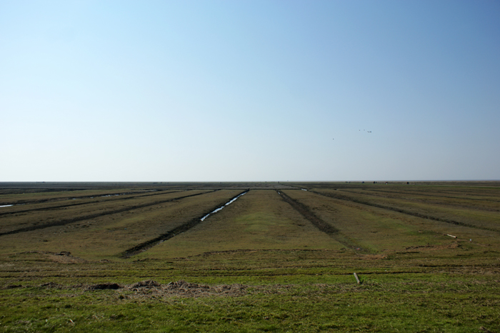 Deutschland: Nordsee 2014