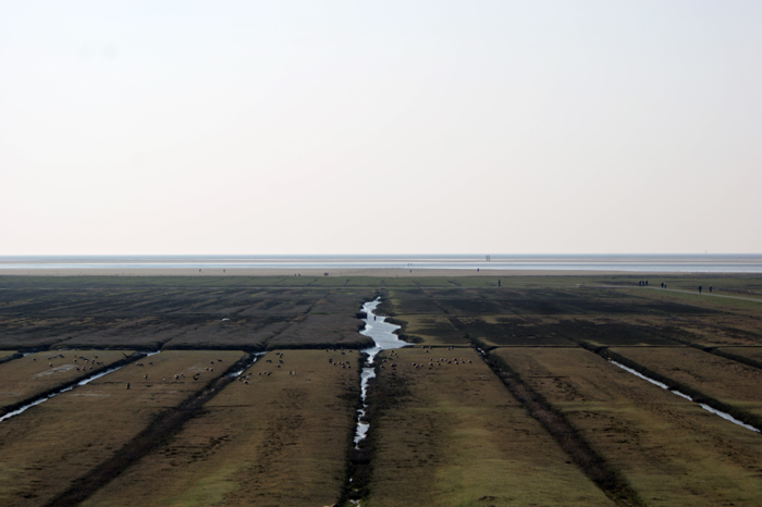 Deutschland: Nordsee 2014