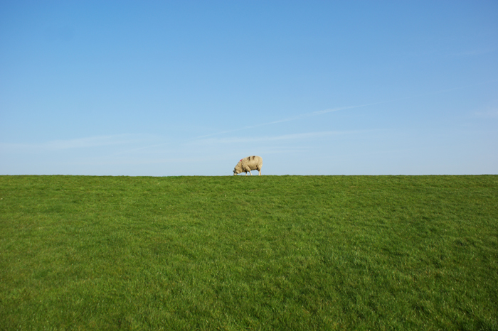 Deutschland: Nordsee 2014
