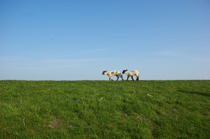Deutschland: Nordsee 2014