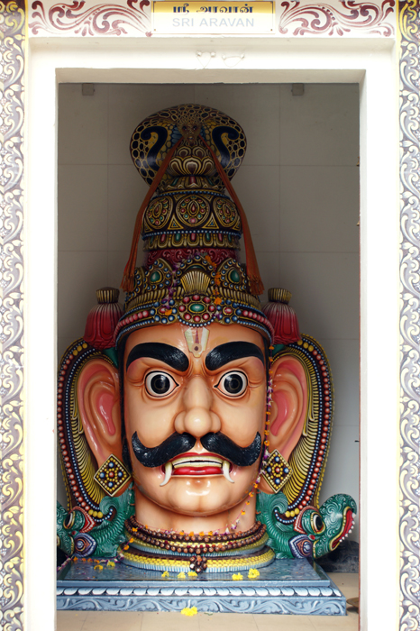 Singpur: Chinatown/ Little India 2014
