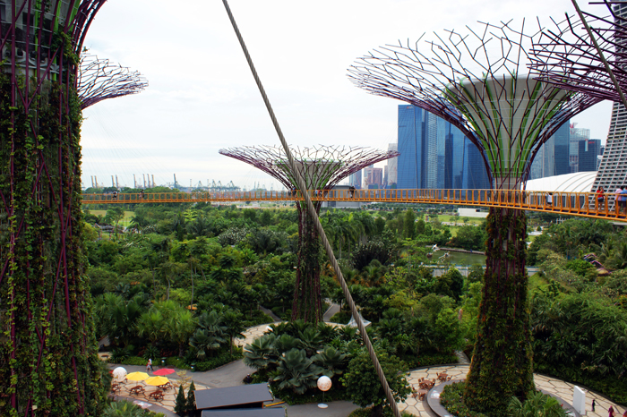 Singapur: Garden by the Bay 2014
