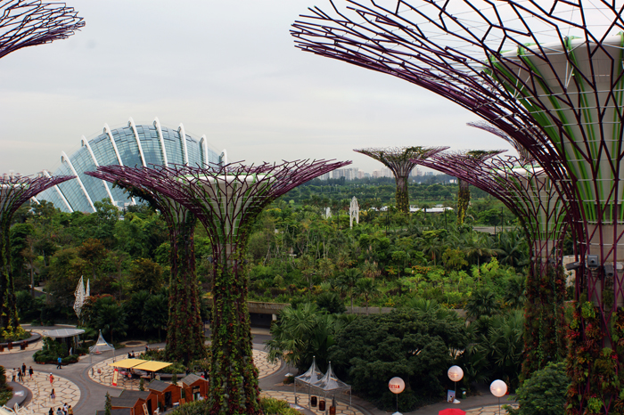Singapur: Garden by the Bay 2014
