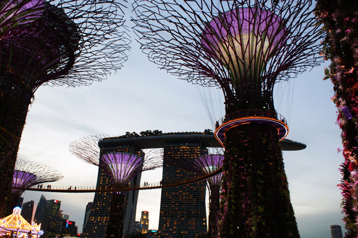 Singapur: Garden by the Bay 2014