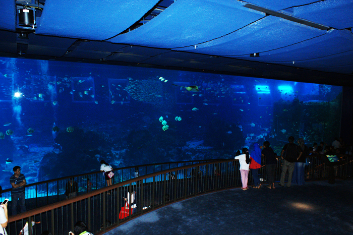 Singapur: Sentosa Island 2014
