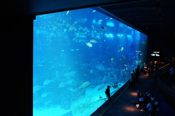 Singapur: Sentosa Island 2014
