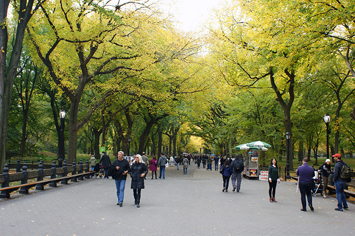 USA: New York 2015