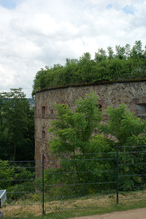 Deutschland: Rheintour 2015