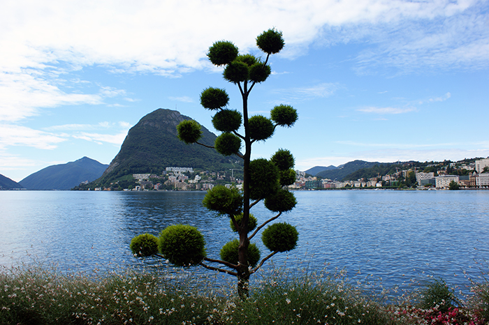 Schweiz: Tessin: Lugano 2015