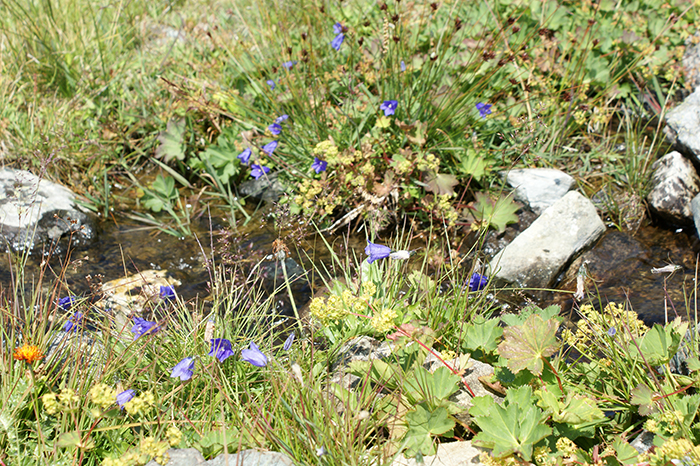 Schweiz: Val d'Anniviers + Sion 2015