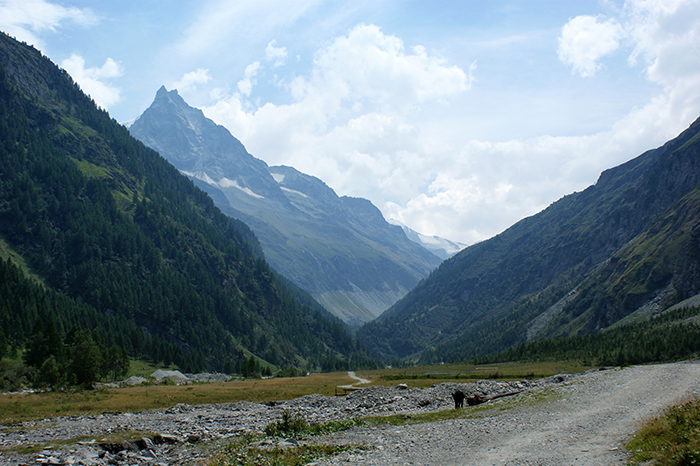 Schweiz: Val d'Anniviers + Sion 2015