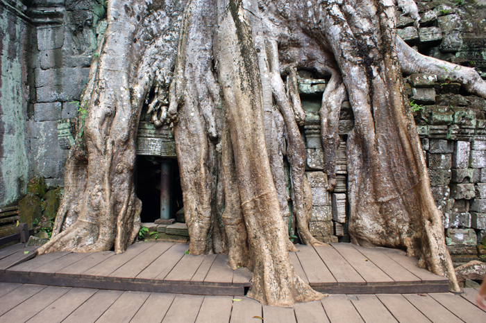 Angkor Wat