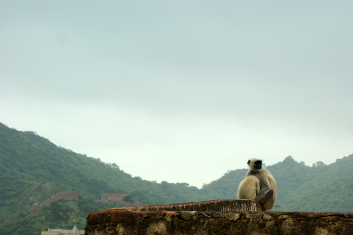 Indien: Jaipur
