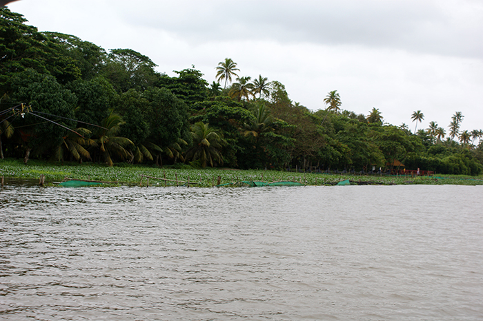 Indien: Kerala, Backwaters