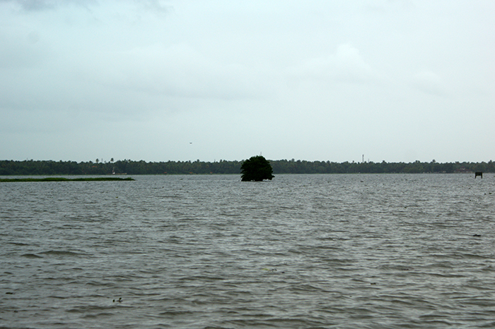 Indien: Kerala, Backwaters
