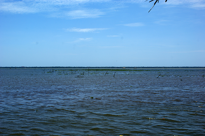 Indien: Kerala, Backwaters
