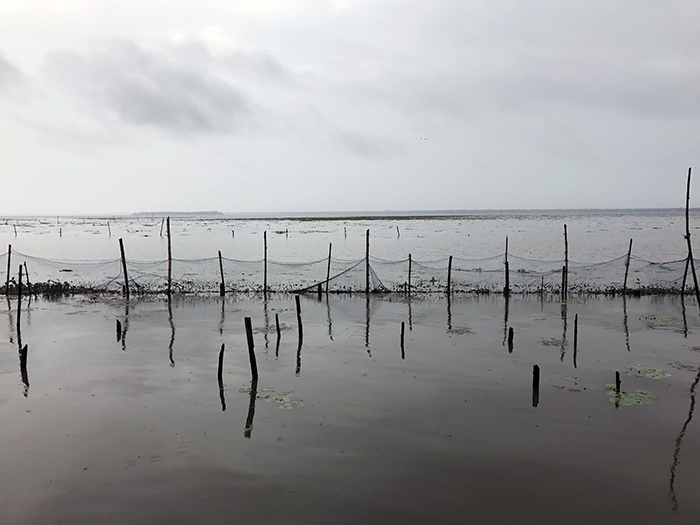 Indien: Kerala, Backwaters