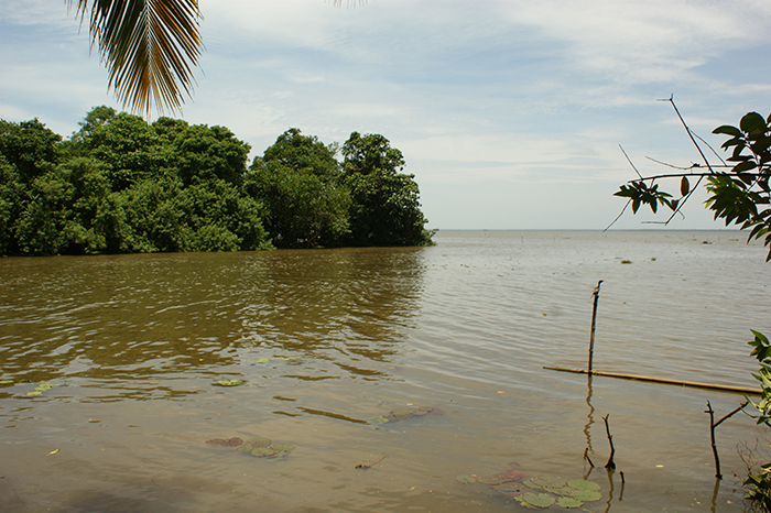 Indien: Kerala, Backwaters