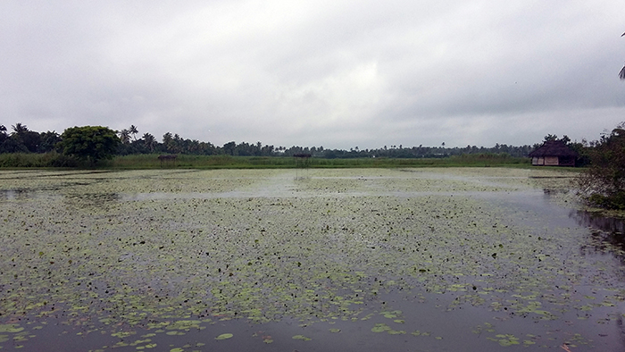 Indien: Kerala, Backwaters