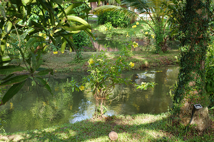 Indien: Kerala, Backwaters