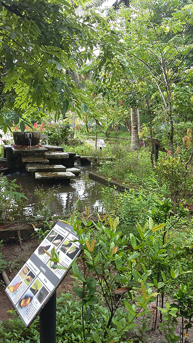 Indien: Kerala, Backwaters