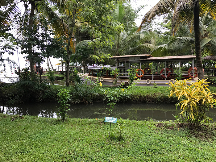 Indien: Kerala, Backwaters