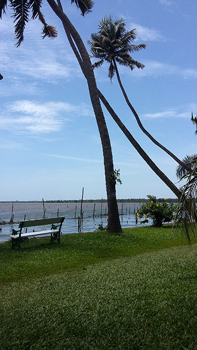 Indien: Kerala, Backwaters