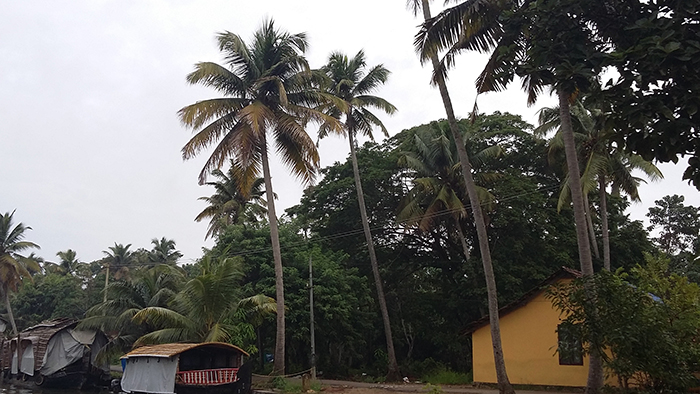 Indien: Kerala, Backwaters