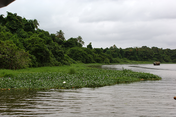 Indien: Kerala, Backwaters