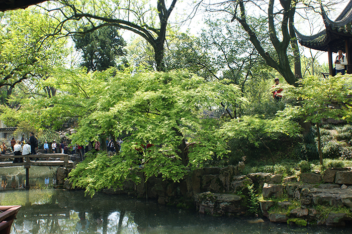 China, Suzhou: Lion Forest und Humble Administrators Garden