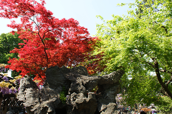 China, Suzhou: Lion Forest und Humble Administrators Garden