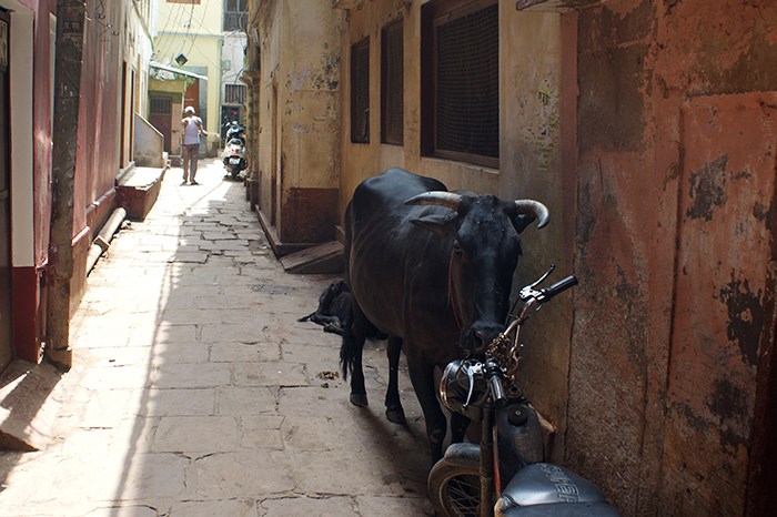 Indien: Varanasi