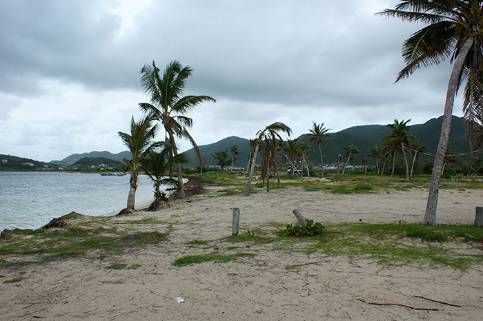 SXM: Inselwelt
