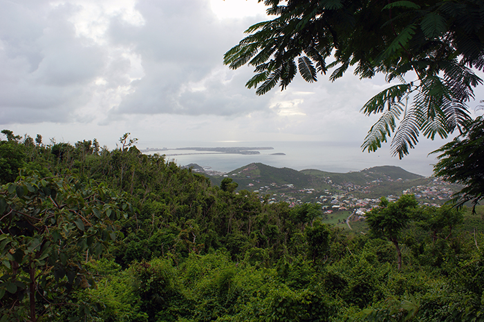 SXM: Inselwelt